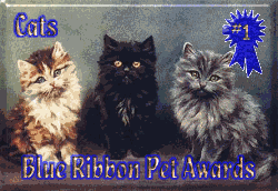 Petsburgh Cats Blue Ribbon Award