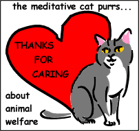 The Meditative Cat's Award for Animal Welfare