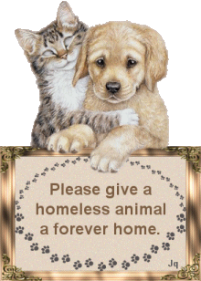 Please give a homeless animal a forever home.