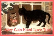 Alley Cats Need Love Too!