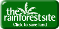 Click to save the rain forests