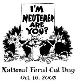 Click for infor on what you can do to help the ferals.