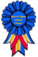 Best of Show for Internet Flowers