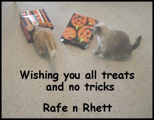 from Rafe and Rhett