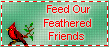 Feed our feathered friends