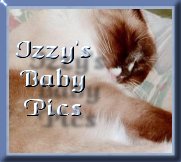 Izzy's Baby Pictures