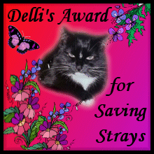 Delli's Award