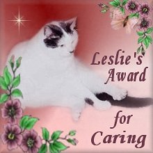 Leslie's Award
