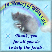 White Cat's Feral Award