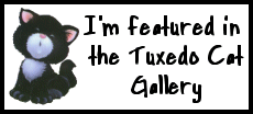 Tuxedo Cats Gallery